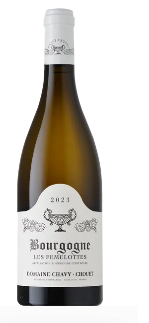 Chavy-Chouet Bourgogne Les Femelottes 12.5% 2022 0.75L